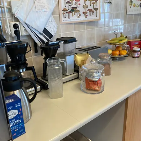 Saimaan Sydaen Мини-отель *